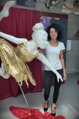 Flight of the Ballerina