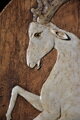 Capricorn