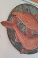 Pisces