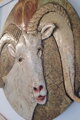 Aries
