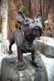 Bulldog