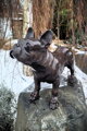 Bulldog