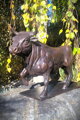Bull