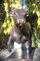Bull