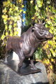 Bull