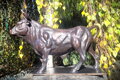 Bull