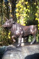 Bull