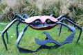 Crab