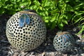 Dragonflies on Balls