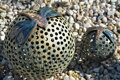 Dragonflies on Balls
