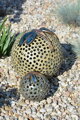 Dragonflies on Balls