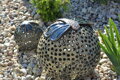 Dragonflies on Balls
