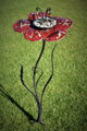 Red flower