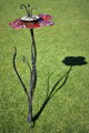 Red flower