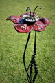Red flower