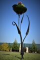 Big flower