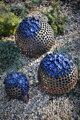 Balls with blue flowers