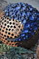 Balls with blue flowers
