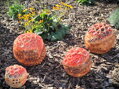 Set of red spheres