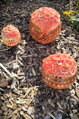 Set of red spheres