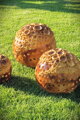 Set of orange spheres