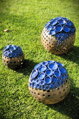Set of blue-brown spheres