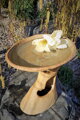 Drinking fountain for birds