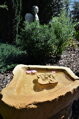 Birdbath with a Rose