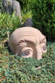 Head