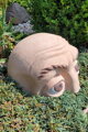 Head