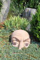 Head