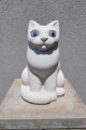 Kitty
