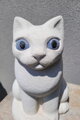 Kitty