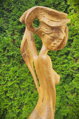 Oak