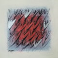 Tulip Bed