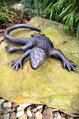 Lizard