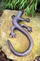 Lizard