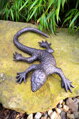 Lizard