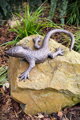 Lizard