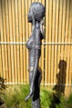 Silver Celtic Woman