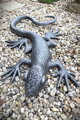 Lizard