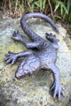 Lizard