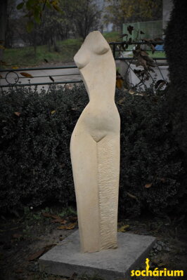 Torso of a woman
