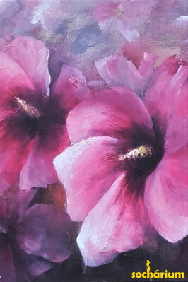 Hibiscus flowers - alizarin