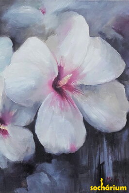 Hibiscus flowers - white