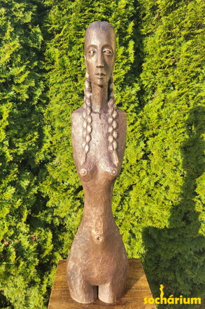 Girl's torso III - torso