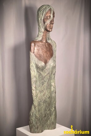 Long-Haired Woman - torso