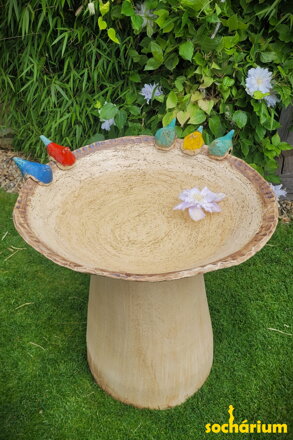 Bird Bath with Colorful Birds