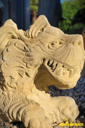 Year of the Dragon