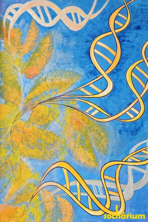 Mendel - Genetics